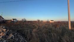 ������ �������� ������ � ������� ���� 10