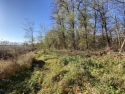 Продається земельна ділянка чудове місце для відпочинку або будівництва будинку вашої мрії! фото 3 Продається земельна ділянка чудове місце для відпочинку або будівництва будинку вашої мрії! фото 3