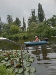 Продам земельний участок на березі річки. фото 11 Продам земельний участок на березі річки. фото 11