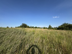 🌿 Продаж земельної ділянки зі зручним під'їздом! фото 5 🌿 Продаж земельної ділянки зі зручним під'їздом! фото 5