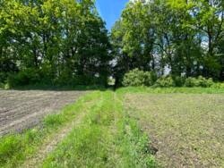 Земельна ділянка за вигідною ціною! Ідеальна для дачі або будинку! фото 1 Земельна ділянка за вигідною ціною! Ідеальна для дачі або будинку! фото 1