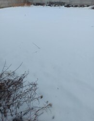 ������ �������� ������ �� ������� �������� ���� 1