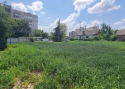 ������ �������� ������ ������������ ����������� �� ���. �������� ���� 1