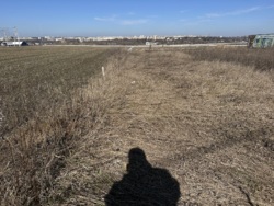 ������ ������ �� ����� ���������� ���� 4