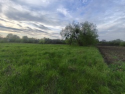 Продажземельної ділянки с/г фото 3 Продажземельної ділянки с/г фото 3