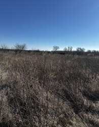 ������ �������� ������ �� ������� �������� ���� 7