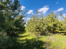 ĳ����� � ������� �������� ���� ���� 2