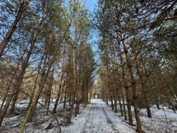 ������ �������� ������ ������ 4 ������� ��������������������� ����������� � ������� ������� ���� � �������� ���� 8