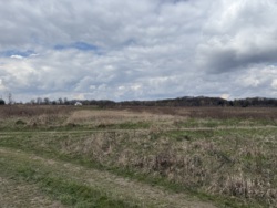 ��������� ������ ³�����, ³�������, ���������, �������� ���� 5