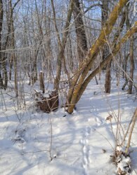 ������ �������� ������ �� ������� �������� ���� 5