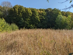 г    ,     5