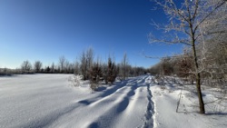 🌿 ������ �������� ������ 10 ����� ������� � �������� ���� ��� ����� �� ����������! ���� 9