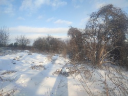 Продається ділянка в Агрономічному фото 4 Продається ділянка в Агрономічному фото 4