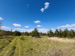 ĳ����� � ������� �������� ���� ���� 6