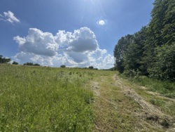 🌿 Продаж земельної ділянки 53 сотки | с. Лукашівка фото 4 🌿 Продаж земельної ділянки 53 сотки | с. Лукашівка фото 4