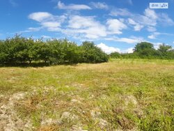 Продаж земельної ділянки в Зарванцях фото 1 Продаж земельної ділянки в Зарванцях фото 1