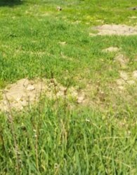 ������ �������� ������ �� ������� �������� ���� 1