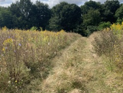 ������ ������ 20 ��� � ��������� ���� 3