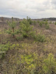 Продам земельну ділянку район старого міста. фото 3 Продам земельну ділянку район старого міста. фото 3