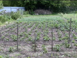 Терміновий продаж фото 9 Терміновий продаж фото 9