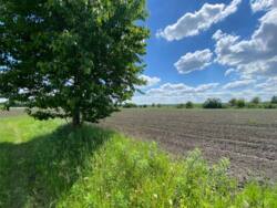 Земельна ділянка за вигідною ціною! Ідеальна для дачі або будинку! фото 4 Земельна ділянка за вигідною ціною! Ідеальна для дачі або будинку! фото 4