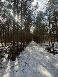 ������ �������� ������ ������ 4 ������� ��������������������� ����������� � ������� ������� ���� � �������� ���� 12