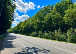 ������ �������� ������ ������������ ����������� �� ���. �������� ���� ���� 8