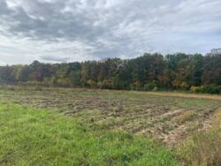 Продаж ділянки в с. Сосонка фото 5 Продаж ділянки в с. Сосонка фото 5