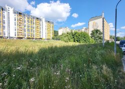 Продаж земельної ділянки під житлову забудову фото 7 Продаж земельної ділянки під житлову забудову фото 7