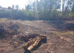 ������ �������� ������ ��������������������� ����������� ���� 5