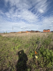 Продається земельна ділянка площею 10 соток у мальовничому селі Агрономічне (7-й провулок Леоніда Каденюка)! фото 13 Продається земельна ділянка площею 10 соток у мальовничому селі Агрономічне (7-й провулок Леоніда Каденюка)! фото 13