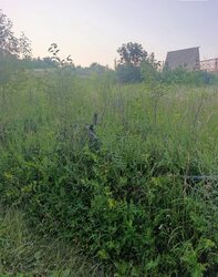 Продаж ділянки під будівництво фото 3 Продаж ділянки під будівництво фото 3