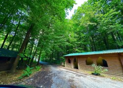 ������ �������� ������ ������������ ����������� �� ���. �������� ���� ���� 17