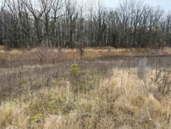 Продам земельну ділянку район старого міста. фото 4 Продам земельну ділянку район старого міста. фото 4