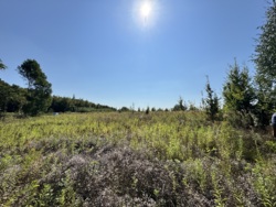 ĳ����� �������� ���� 10