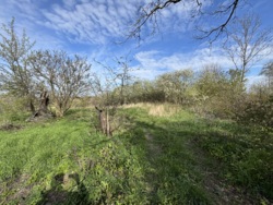 🏡 ������ �������� ������ �� ������� �������� � 29,33 ����� ���� 4