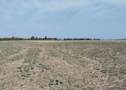 ������ �������� ������ ��������������������� ����������� ���� 2