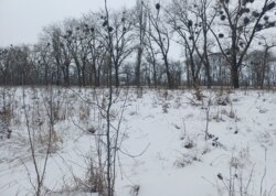 ������ �������� ������ ������������ ����������� ���� 1