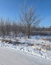 ������ �������� ������ ��������������������� ����������� ���� 1