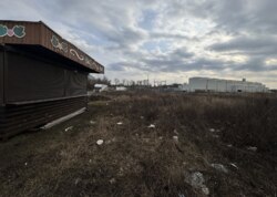 ������ �������� ������ ������������ ����������� ���� 22