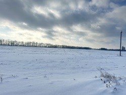 ������ ������� ������ ���� 4