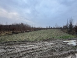 🌿 ������ �������� ������ 10 ����� ������� � �������� ���� ��� ����� �� ����������! ���� 6