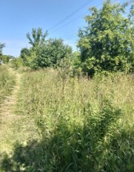 Продаж земельної ділянки під житлову забудову фото 8 Продаж земельної ділянки під житлову забудову фото 8