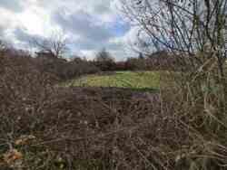 ĳ����� ��� ����������� ����� 12 ���. ���� 12