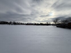 продаж земельної ділянки с.Сосонка фото 4 продаж земельної ділянки с.Сосонка фото 4