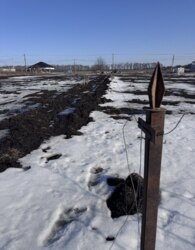 ������ �������� ������ �� ������� �������� ���� 8