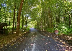 ������ �������� ������ ������������ ����������� �� ���. �������� ���� ���� 14