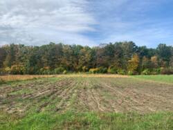 Продаж ділянки в с. Сосонка фото 6 Продаж ділянки в с. Сосонка фото 6