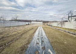 ������ �������� ������ �� ������� �������� � ��������� ���� 6