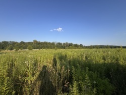 Продаж земельної ділянки Зарванці фото 7 Продаж земельної ділянки Зарванці фото 7
